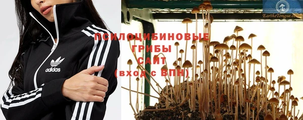 молекула духа Абаза